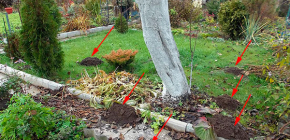 Πώς να απαλλαγείτε από τα κιλά στον κήπο: αποτελεσματικά εργαλεία και τις αποχρώσεις της εφαρμογής τους