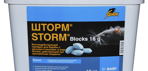 Racun untuk tikus dan tikus Storm (pengeluaran BASF) dan ulasan penggunaannya