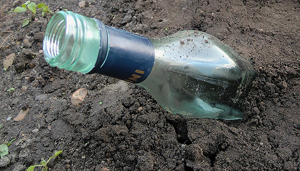 Dans de rares cas, les taupes sont effrayées par des bouteilles de verre vides enfouies sous un angle dans le sol.