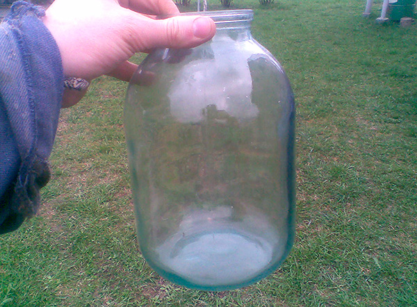 Vous pouvez attraper une taupe dans un bocal en verre ordinaire de trois litres.