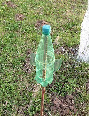 Un exemple de répulsif taupe fait maison fait à partir d'une bouteille en plastique ordinaire.