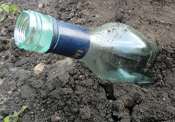 On croit que le grondement créé par le vent dans une bouteille en verre vide est transmis au sol et effraie également les taupes.