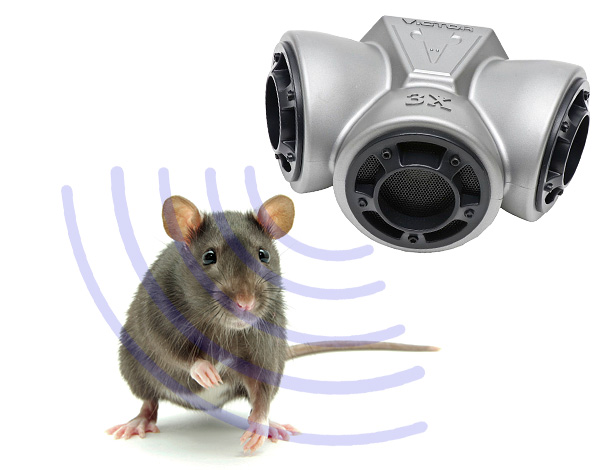 L'échographie vous permet vraiment de faire fuir les rats et les souris, mais il existe un certain nombre de nuances importantes qui ne sont pas toujours prises en compte dans la pratique ...